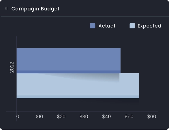 campagin budget image